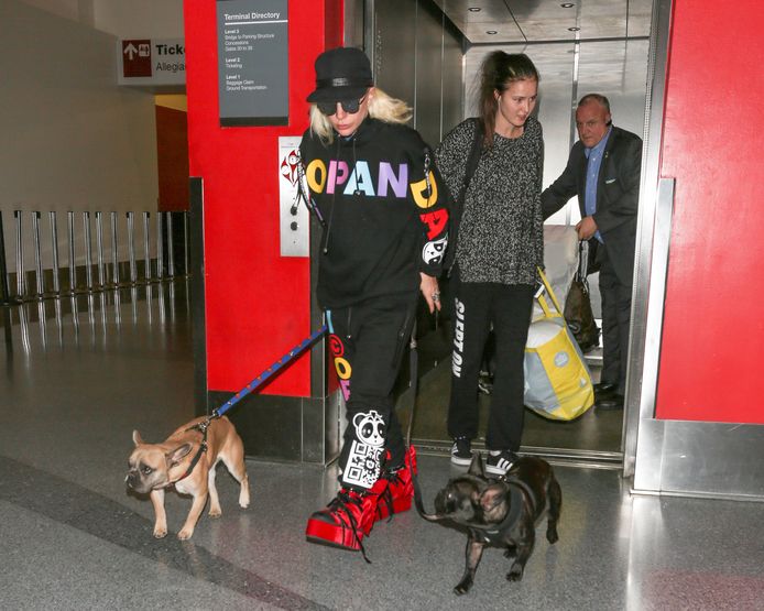 EXCLUSIVE TO INF. 
Lady Gaga met haar hondjes Asia and Koji in Los Angeles.