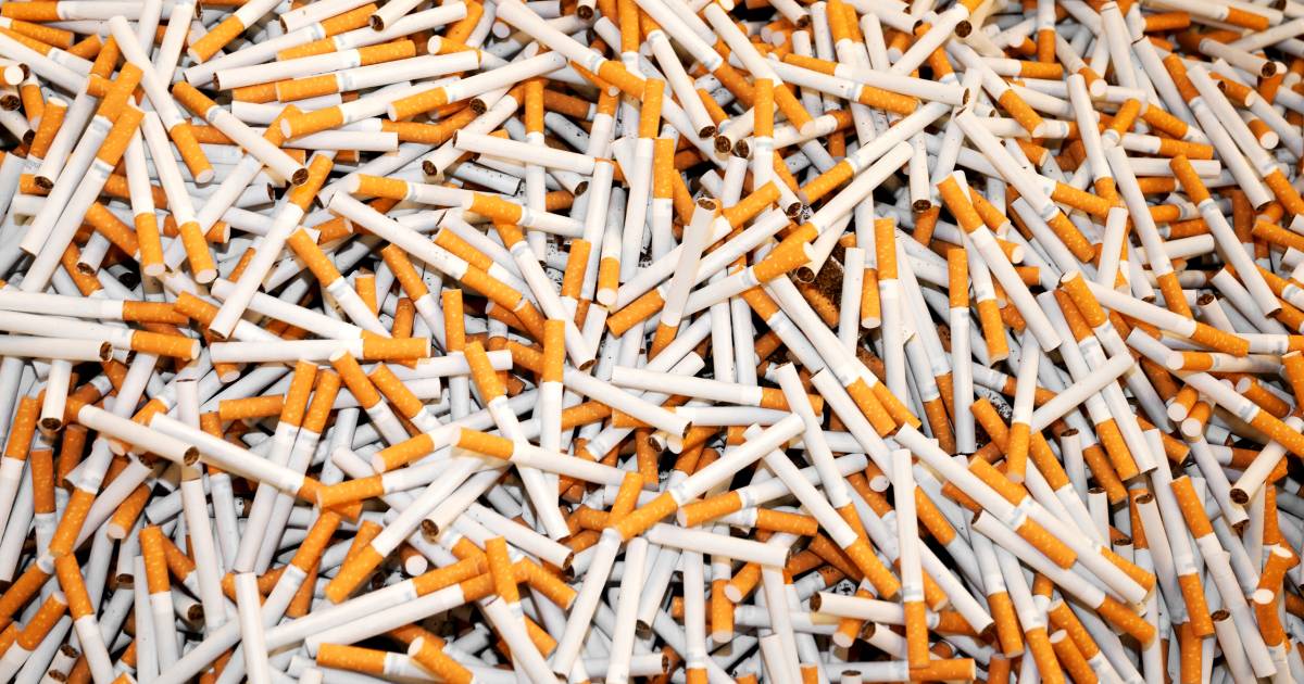 Fiod heeft donderdag samen met politie, douane en gemeente 45 miljoen illegale sigaretten, 930 hennepplanten en chemicaliën in beslag genomen.