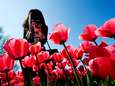 Zonnig weekend voor de boeg