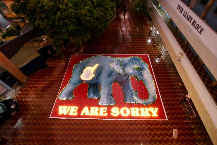 AFP