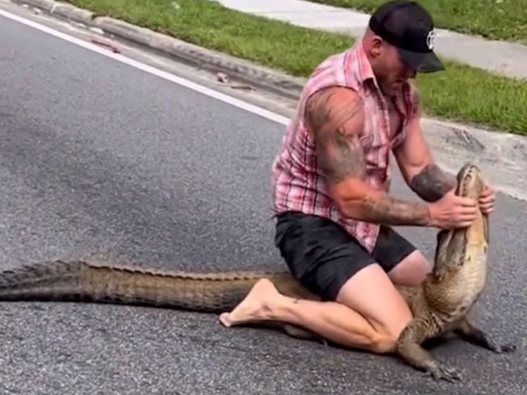 Kijk hoe MMA-vechter Mike (34) alligator met blote handen vangt