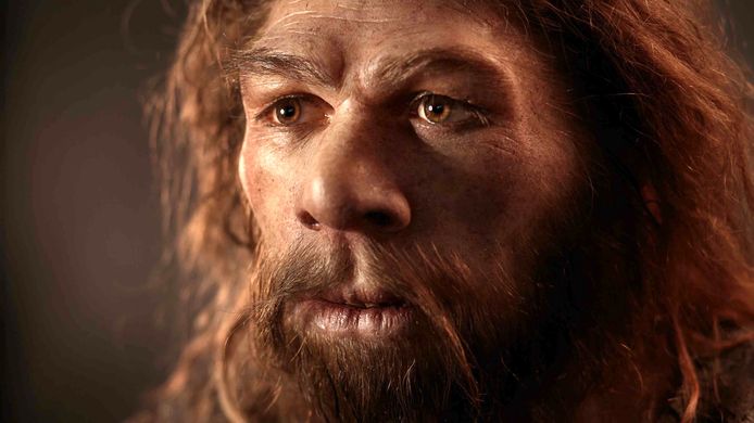 A la rencontre de Neandertal - DOCU (2019 FR) Rob Hope, Pascal Cuissot