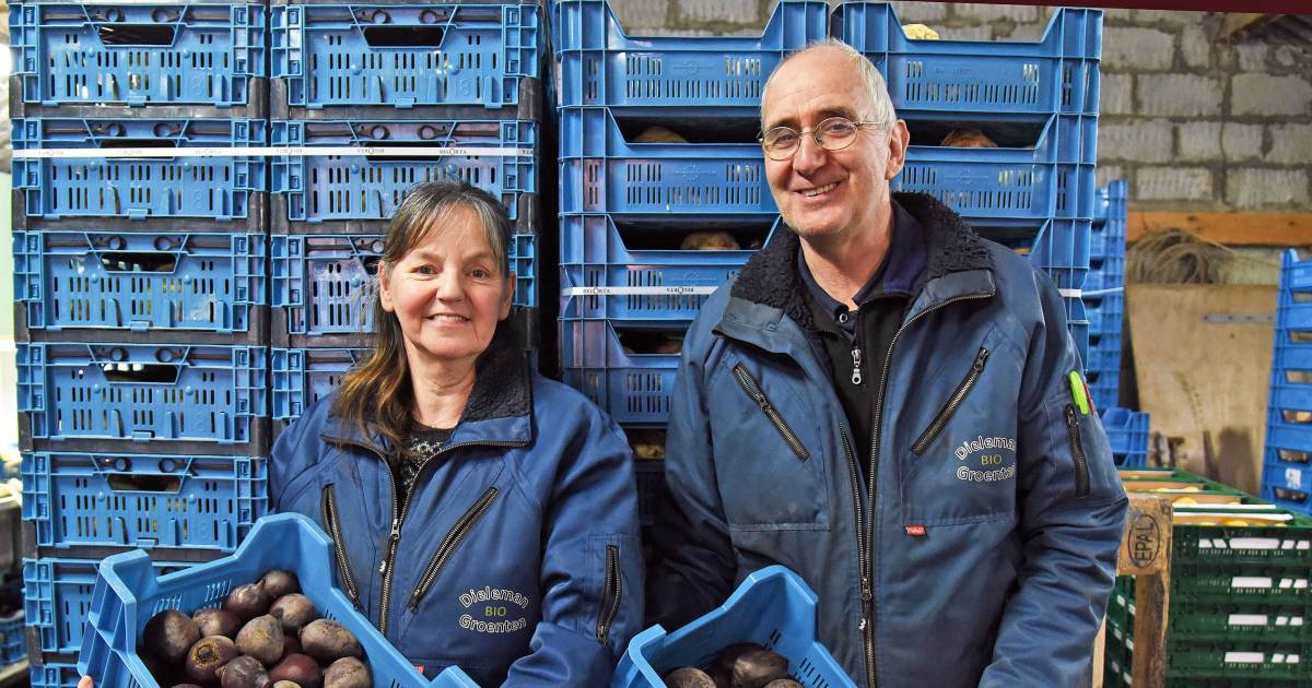 Zeeuwse Bio Groente uit Waterlandkerkje ook aan huis bezorgd