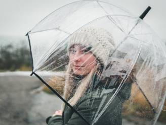 WEER. Vanochtend kans op lichte regen en redelijk helder weer in Antwerpen
