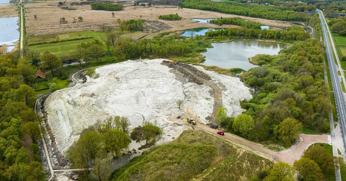 ‘Onvoorstelbare’ actie van Staatsbosbeheer leidt tot woede in Kloosterhaar: ‘Dit valt niet uit te leggen’