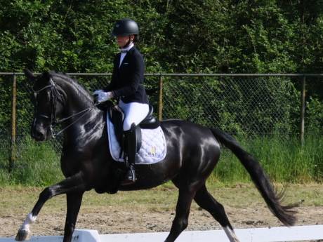 Van Giesen heeft met zadelmakke Lahurona lot uit loterij 