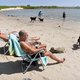 Goed koppenmateriaal: volgende week 42 graden (maar de kans dat het echt zo warm wordt is heel klein)
