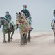Dierenliefde, dierenwelzijn en dierenbescherming kunnen elkaar versterken, maar ook behoorlijk schuren