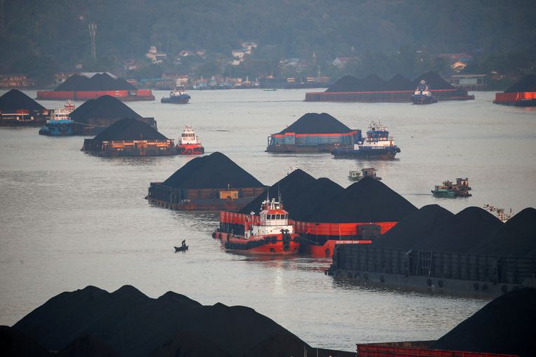 Eksportir batubara terbesar di Indonesia telah menghentikan semua ekspor