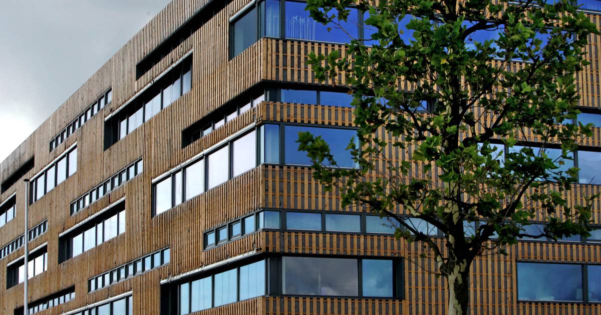 Nadat leerling een 1 krijgt voor werkstuk om ‘plagiaat’ komt hij bij rechter met opvallende verklari