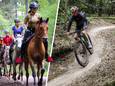 Paardrijden en mountainbiken in de bossen op de Veluwe: wordt er straks gevraagd om daarvoor geld te betalen?