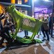 Hoe Den Haag landelijk Nederland kwijtraakte: ‘Mensen snáppen het gewoon niet’