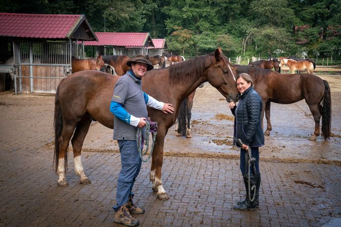 Frans van Baal en Saskia hebben veel baat bij het omgaan met de paarden van Stal Mansour.