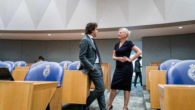 Klaver wil blok met PvdA en lanceert ‘onbeschaamde’ agenda: alle huur wordt sociale huur