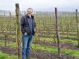 Ronald Blomme in zijn wijngaard in Eede. ,,Ik heb 1 hectare. In landbouwbegrippen is dat een balkon.”