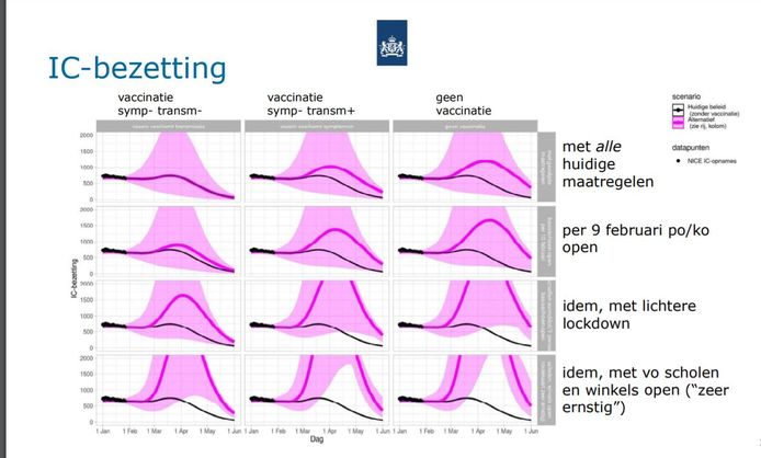 De bezetting van de intensive cares in verschillende scenario's (de roze lijnen). De zwarte lijn is de basislijn waarin streng beleid wordt doorgezet.