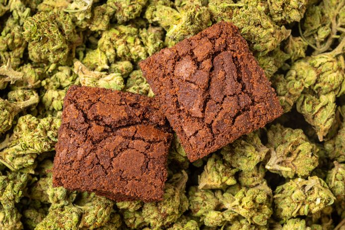 Organic marijuana Brownies close up full frame
