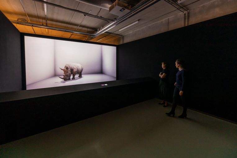 ‘The Subsitute’, een replica van de noordelijke witte neushoorn, waarvan het laatste mannetje eind 2018 uitstierf. Beeld Ruud Balk