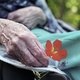 "Palliatieve zorg in woonzorgcentra moet beter"