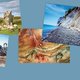 Steencirkels, grotten en fossielen: op reis in Europa met de wetenschapsredactie