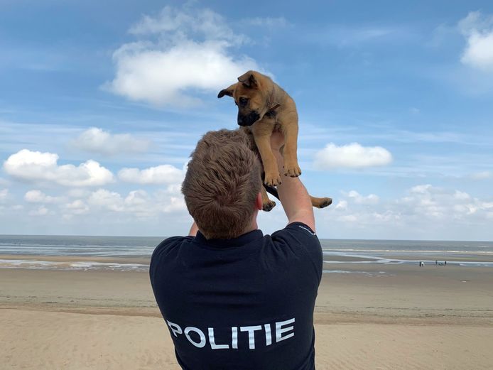 Inspecteur Yentl Nyffels is het nieuwe baasje van Marco.