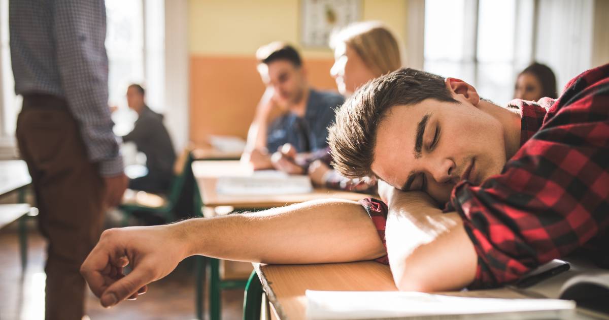 No diploma, but useful or mathematical?  We recommend a job for four different school graduate profiles |  My guide