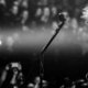 Concertreview: Metallica in het Sportpaleis