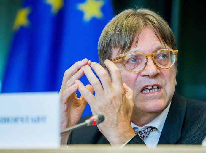 Volgens Guy Verhofstadt, de voorzitter van de liberale fractie in het parlement, lijkt corruptie op Malta "wijdverbreid" en "een winstgevend businessmodel".