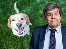 Ik erger me nogal aan de stoute honden van mijn vriendin