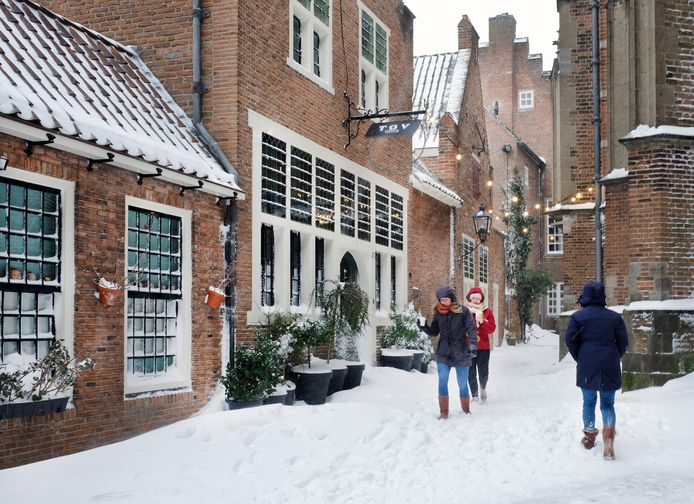 Nijmegen, Pays-Bas, ce dimanche alors qu'une première couche de neige a recouvert le pays qui se prépare à une rare tempête