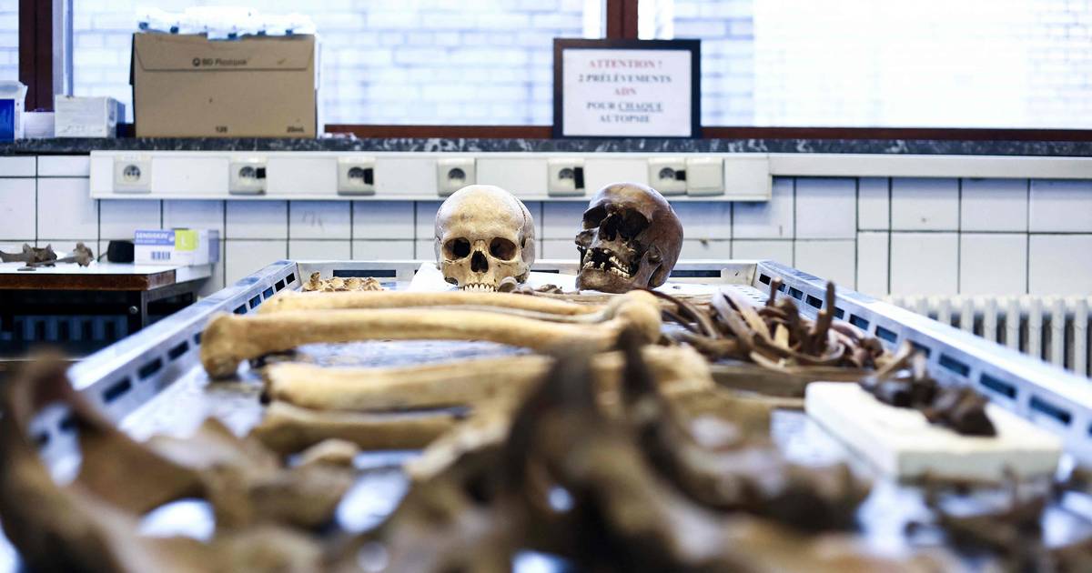 Gli scavi in ​​Israele rivelano lo scheletro di un uomo che ha subito un intervento chirurgico al cervello 3.500 anni fa |  al di fuori