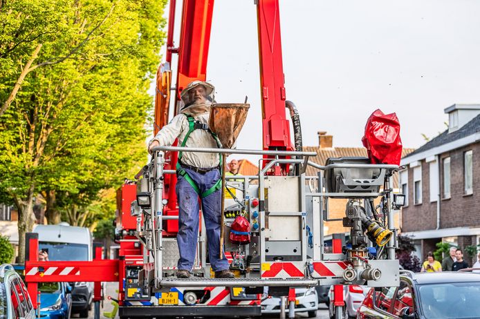 Brandweer schiet imker te hulp bij verwijderen van bijennest in Tilburg.
