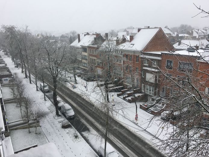 Sneeuw in Kortrijk.