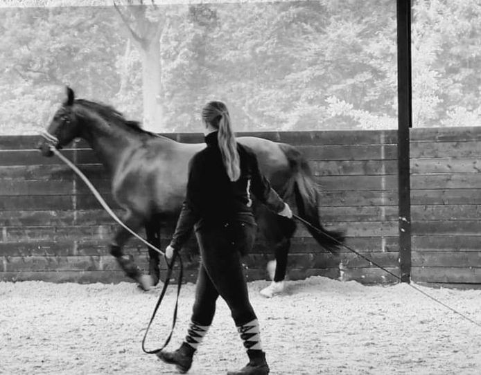 Mandy Huiskens bezig met het trainen van een paard.