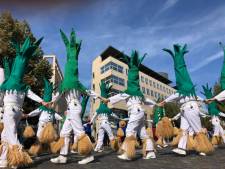 Il n’y aura pas de carnaval de Tilff en 2021