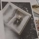 Kijk terug: Humo-journalisten in documentaire over de tand van Lumumba