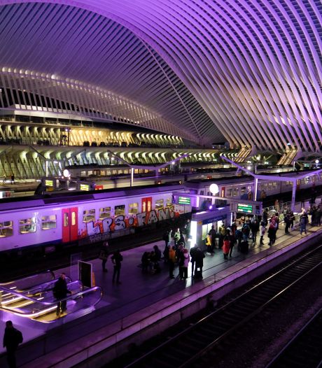 La gare des Guillemins va vibrer au son de la musique électro
