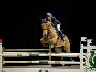 Flanders Horse Expo komt terug naar Flanders Expo: “Alles over paarden, voor groot en klein”