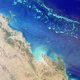 Hittegolven onder water catastrofaal voor koraal