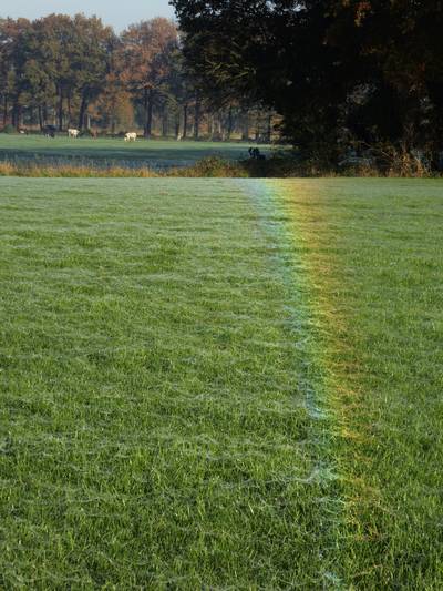 ‘Fantastische gewaarwording’ in Denekamp: regenboog in deken van spinnenwebben