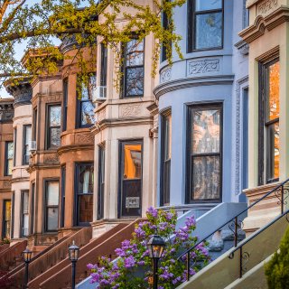 Lionel Shriver's new novel is a paranoid, xenophobic fever dream