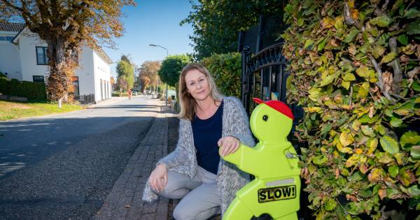 Kastanjelaan in Heteren gaat toch op de schop