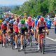 De Belgische weelde in de Tour is groot en ze blijft duren. Hoe komt dat?