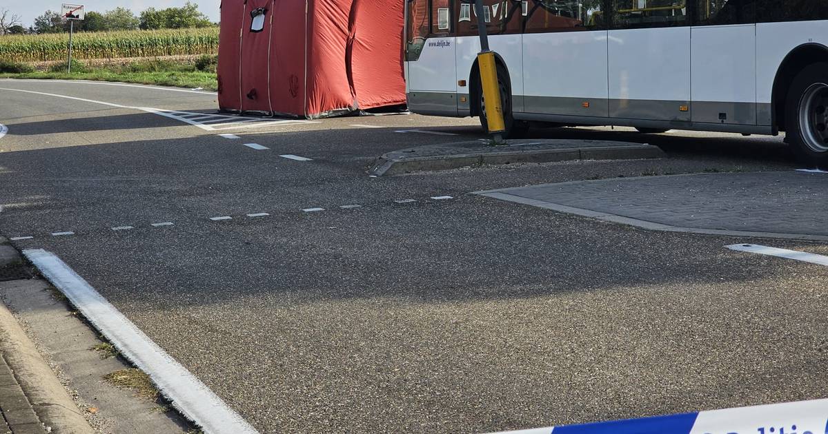 Fietser overleden na botsing met lijnbus net over Belgische grens.