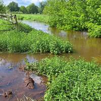‘Deze landbouwer kent duidelijk de wet niet’: waarom de relatie met Natuurpunt in Lummen op springen staat