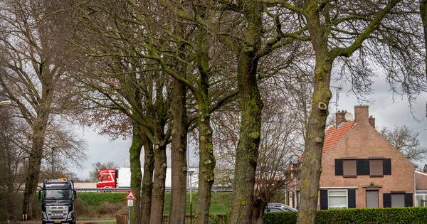 'Den Bosch heeft ons er alleen bijgevat om hun industriële zooi kwijt te kunnen', klinkt het in Vink