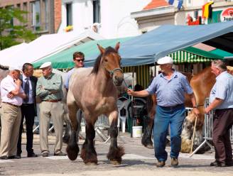 Druk kermisweekend in Laarne met exposities, rommelmarkt, kleine en grote jaarmarkt en Macharius ommegang