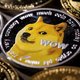 Much sad: memehondje van dogecoin ernstig ziek door leukemie