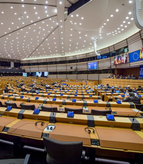 Europees Parlement eens met rechtbank Amsterdam: Platformwerkers zijn gewone werknemers
