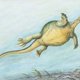 Kind van twee uitgestorven mensensoorten en 228 miljoen jaar geleden was er een schildpad zonder schild